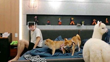 嗨放派滑旱冰是哪一期