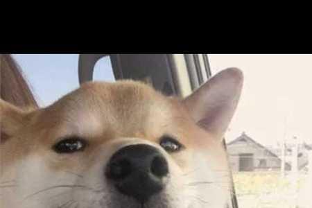 不是单身的叫什么