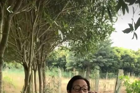 就是这一道道坎抖音版是谁唱的