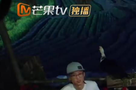 杨蒙恩吐槽向往的生活第几期