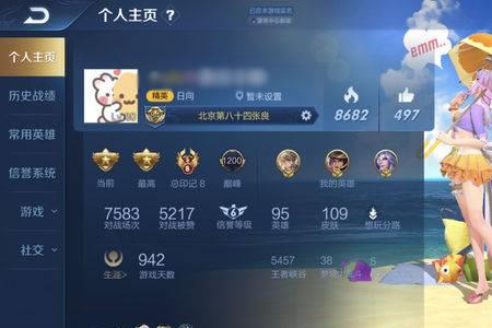 王者主页没有英雄可以挂皮肤吗