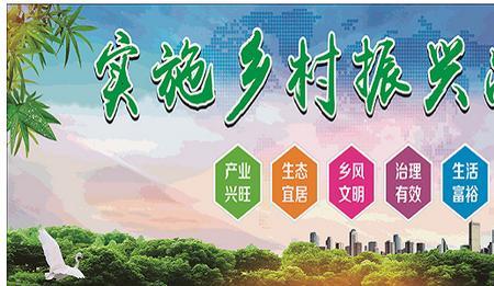 乡村振兴具体实施哪些项目
