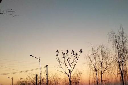 我在等待黎明的曙光什么意思