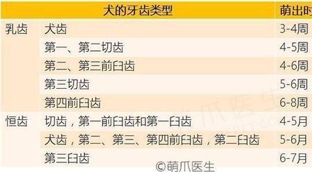 双排牙会自动归位吗