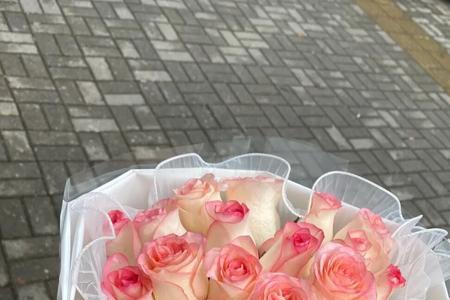 艾莎玫瑰是染色的吗