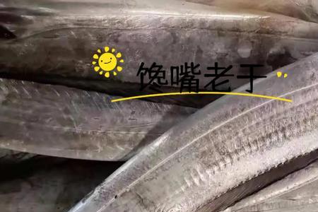 黄眼睛带鱼好不好