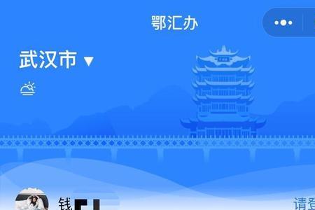 湖北静态健康码怎么获取