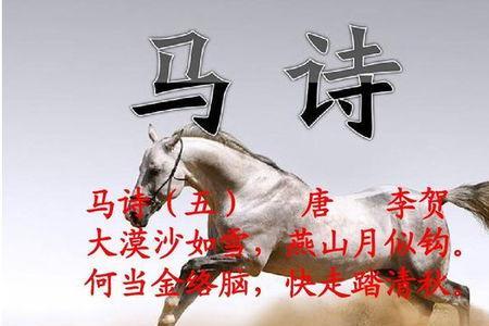 关于驯服野马的诗句
