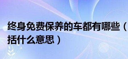 终身保养是什么意思