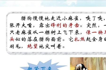四年级课文麻雀怎么向内容提问