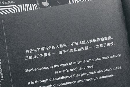 形容说话直白的句子
