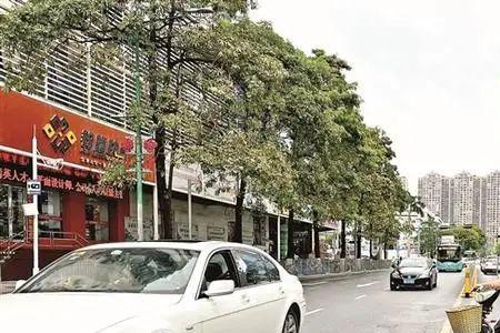 斜穿马路和横穿马路哪个责任大