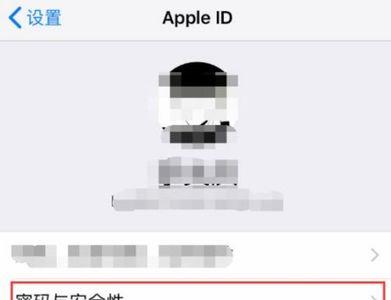 苹果密码与安全性为什么进不去