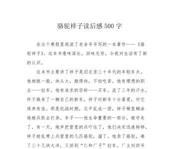 给祥子写小传150字左右