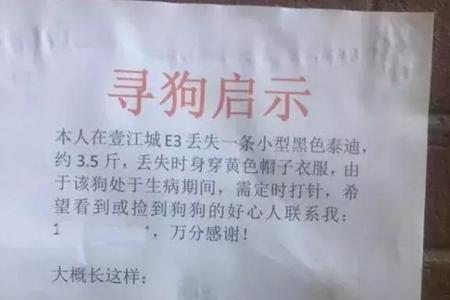 写一篇寻物启事20字三年级
