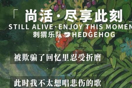 寂寞的刺猬歌词表达的含义