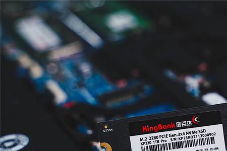 暗影骑士龙内存条有几个卡槽