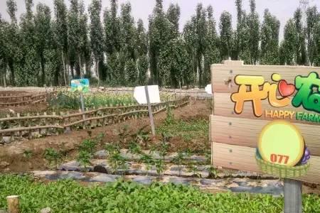 丰收农场能提现吗