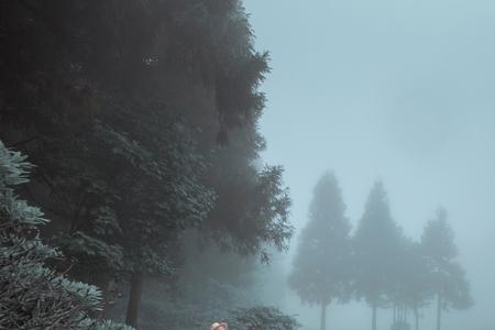 天色等烟雨而我在等你下一句