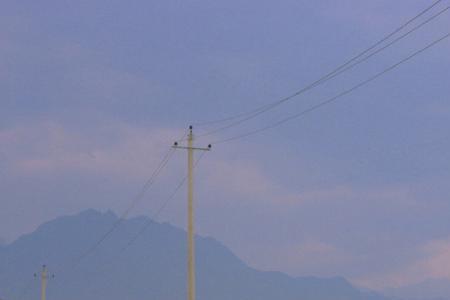 听风吹来的声音关于爱情意思