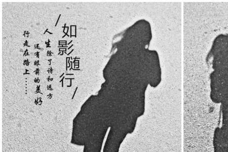 自己的影子什么意思