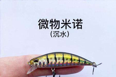冬天白天微物路亚能钓到微物吗