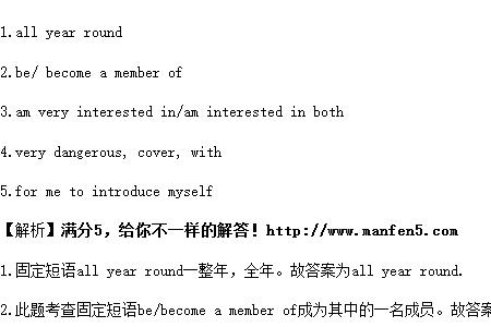 it seems that的句型中的it是什么成分