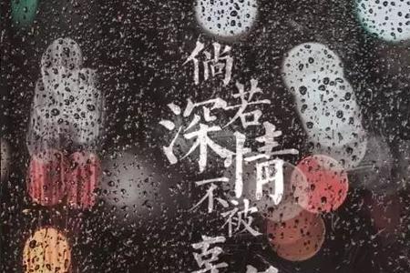 你我情如路半经过表达的意思