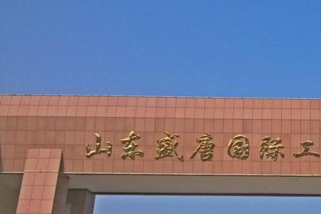 盛唐集团官网