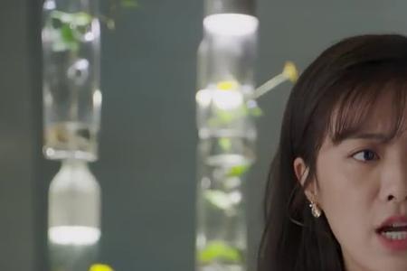 温州三家人叶子凡和林知夏结局