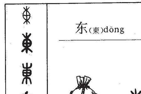 东道国和母国的区别
