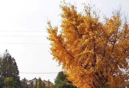 家乡的春夏秋冬怎么改名了