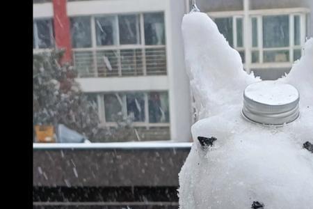 皮卡丘雪人堆法