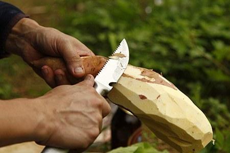 m9军刀和工兵铲哪个好