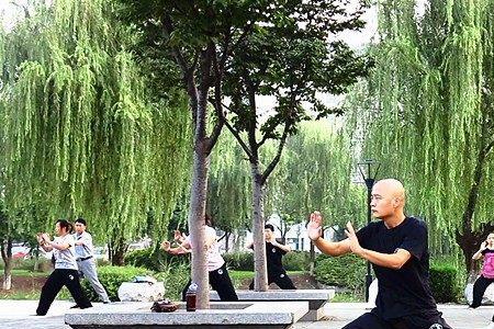 笨人学太极拳怎样能学会