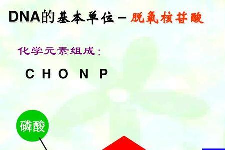 两个h和n是什么元素