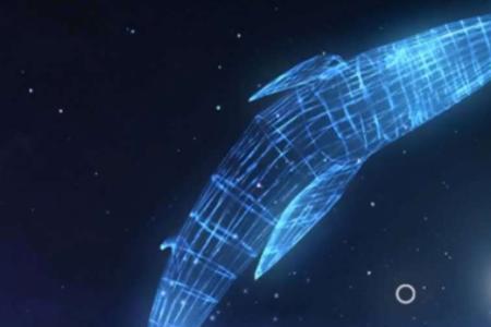 2020星辰大海是什么意思