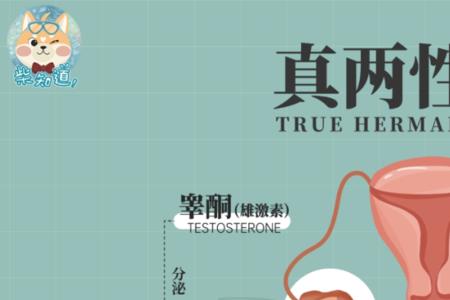 人类六种性别是哪些