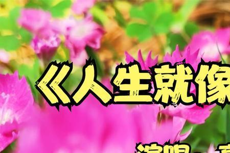 做酒这首歌曲啥意思
