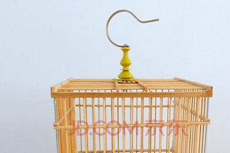 柳莺用大笼还是小笼养好
