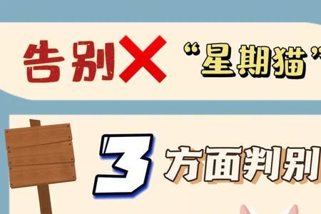 星期猫怎么辨别