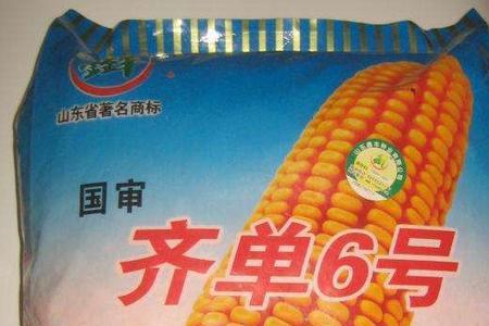 迪卡c9929玉米品种介绍