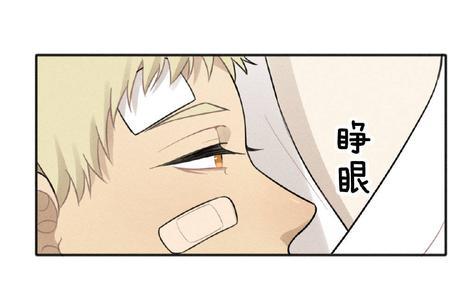 旧少年是什么意思