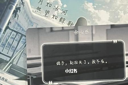 鸽子别回头了我不在了什么意思