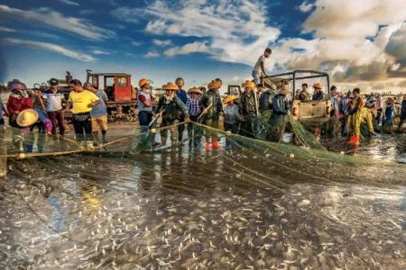 船儿满江鱼满仓歌词是什么意思