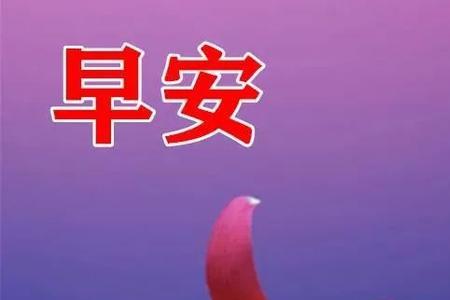 不用图片的早上好问候语