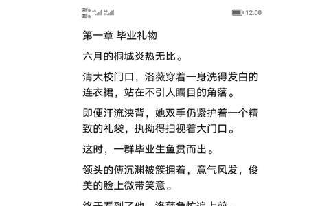 洛薇傅沉渊的小说全集免费观看