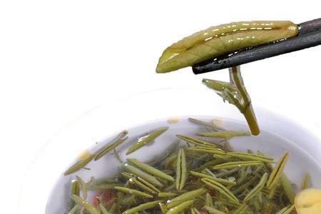 太湖菜与青菜的区别