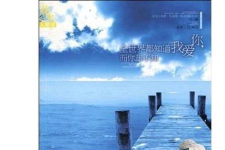 让全世界知道我爱你什么意思