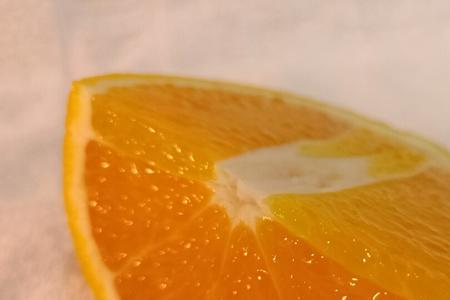 orange为什么一直登录不上